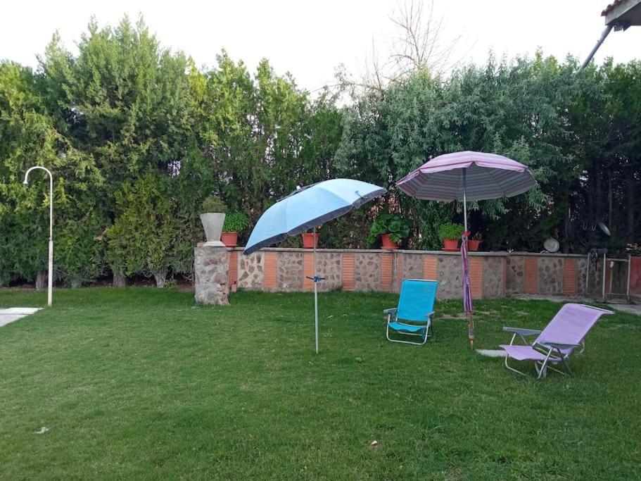 Finca Denunez Villa La Mata  Exterior photo
