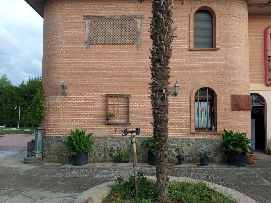 Finca Denunez Villa La Mata  Exterior photo